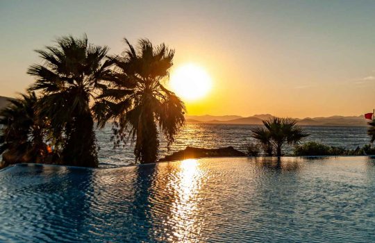 תכנון והקמה של בריכות נוי2